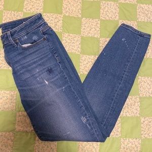 Ann Taylor Loft Curvy Skinny Jeans